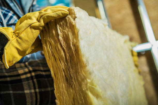 Best Insulation for Specific Applications in Williamstown, KY